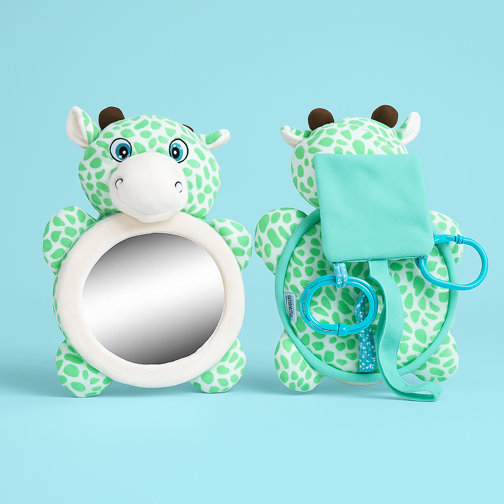 Baby View Mirror